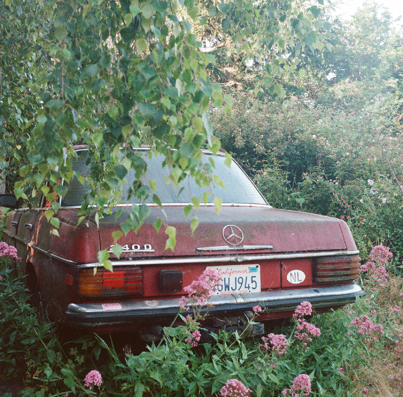 Illustration for article titled SEDAN Is The New Photography Zine We All Should Be Reading